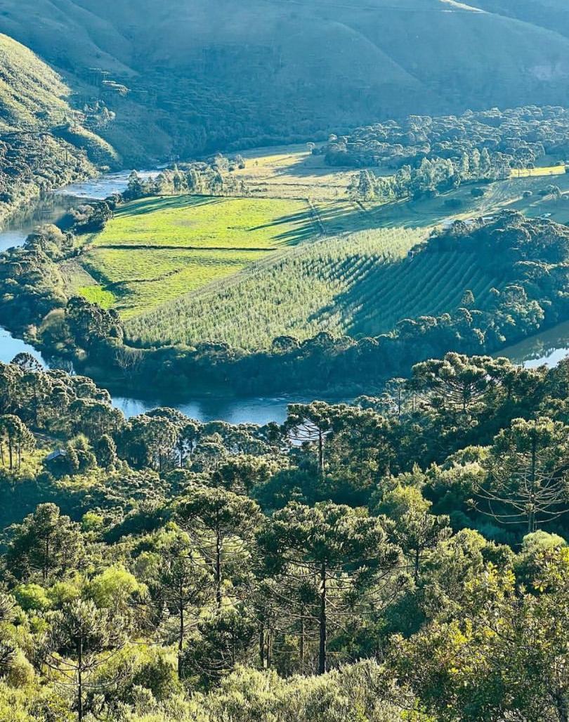 Pousada Fazenda Paim Sao Jose dos Ausentes Extérieur photo